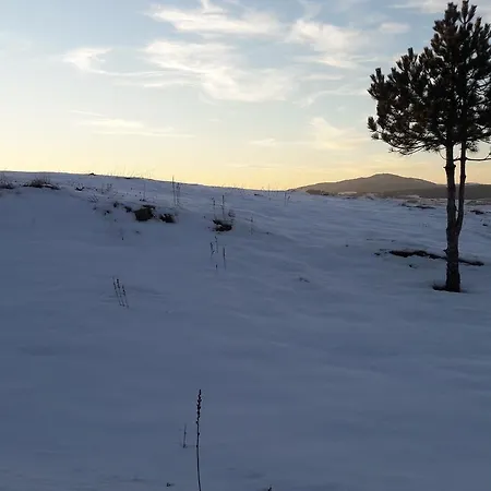 Konaciste Dabic Konukevi